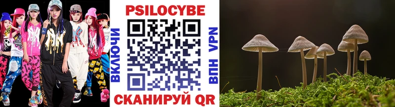 Псилоцибиновые грибы Psilocybine cubensis Щигры