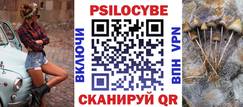 наркота  darknet официальный сайт  Псилоцибиновые грибы прущие грибы  Щигры 